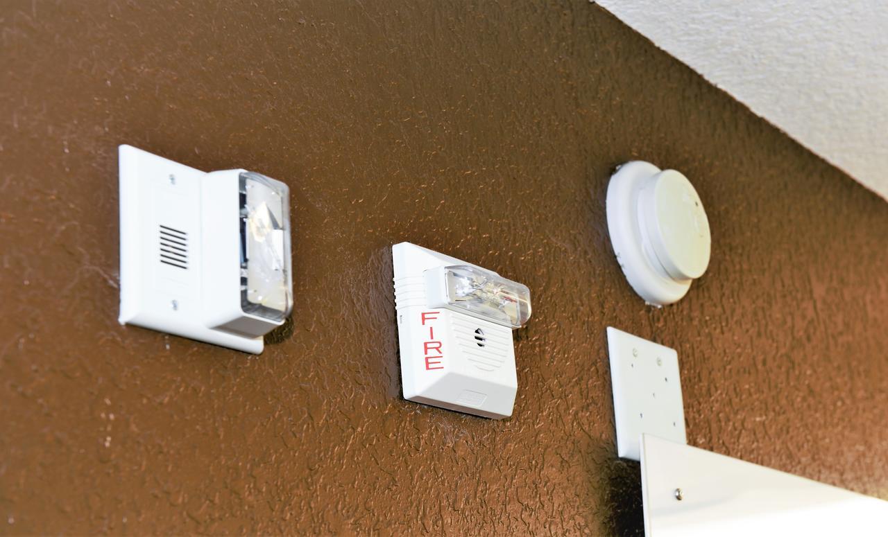 Microtel Inn & Suites By Wyndham Jacksonville Airport Zewnętrze zdjęcie