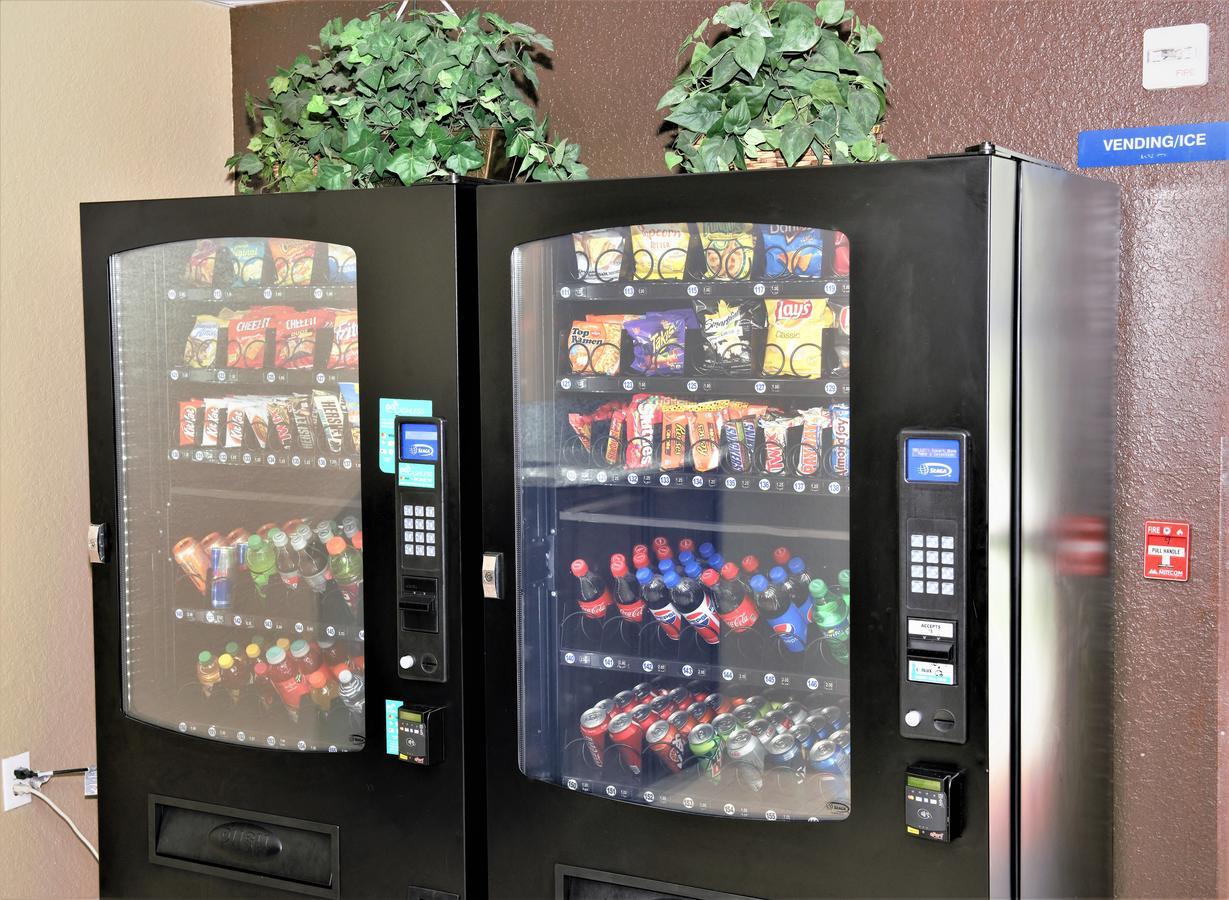 Microtel Inn & Suites By Wyndham Jacksonville Airport Zewnętrze zdjęcie